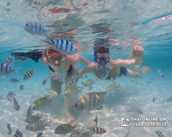 Underwater Odyssey snorkeling excursion in Pattaya Thailand photo 858