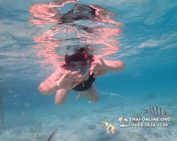 Underwater Odyssey snorkeling excursion Pattaya Thailand photo 11029