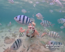 Underwater Odyssey snorkeling excursion in Pattaya Thailand photo 200