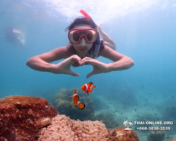 Underwater Odyssey snorkeling excursion in Pattaya Thailand photo 527