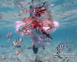 Underwater Odyssey snorkeling excursion in Pattaya Thailand photo 415