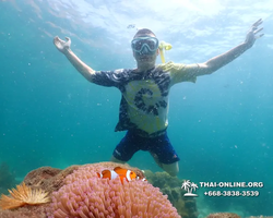 Underwater Odyssey snorkeling tour from Pattaya Thailand photo 18447