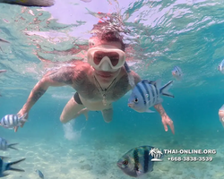 Underwater Odyssey snorkeling excursion Pattaya Thailand photo 11230