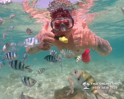 Underwater Odyssey snorkeling excursion Pattaya Thailand photo 14826