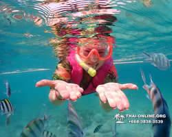 Underwater Odyssey snorkeling excursion Pattaya Thailand photo 11521