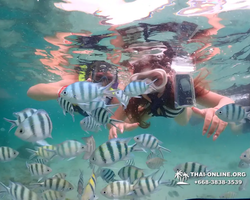 Underwater Odyssey snorkeling excursion in Pattaya Thailand photo 25