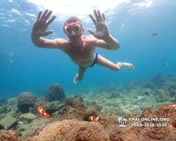 Underwater Odyssey snorkeling excursion Pattaya Thailand photo 11429