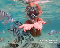 Underwater Odyssey snorkeling excursion Pattaya Thailand photo 14231
