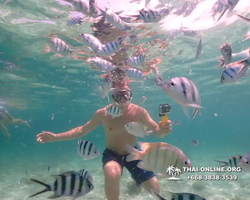 Underwater Odyssey snorkeling tour from Pattaya Thailand photo 18323