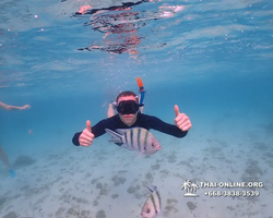 Underwater Odyssey snorkeling excursion Pattaya Thailand photo 11147