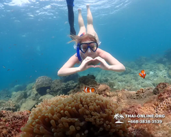 Underwater Odyssey snorkeling excursion Pattaya Thailand photo 11365
