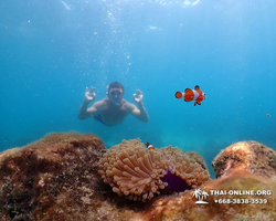 Underwater Odyssey snorkeling excursion in Pattaya Thailand photo 678