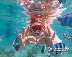 Underwater Odyssey snorkeling tour from Pattaya Thailand photo 14282