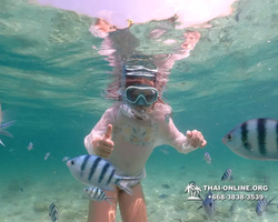 Underwater Odyssey snorkeling tour from Pattaya Thailand photo 18491