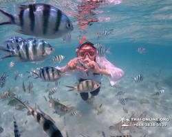 Underwater Odyssey snorkeling excursion in Pattaya Thailand photo 467