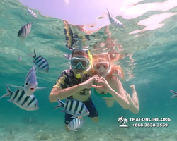 Underwater Odyssey snorkeling tour from Pattaya Thailand photo 18467