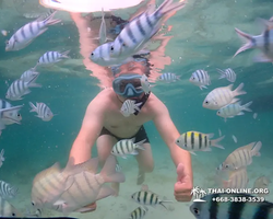 Underwater Odyssey snorkeling excursion in Pattaya Thailand photo 190