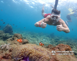 Underwater Odyssey snorkeling excursion Pattaya Thailand photo 11412