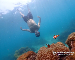 Underwater Odyssey snorkeling excursion in Pattaya Thailand photo 1018