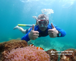 Underwater Odyssey snorkeling excursion Pattaya Thailand photo 14827