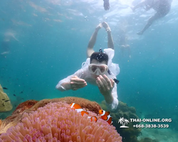 Underwater Odyssey snorkeling tour from Pattaya Thailand photo 18683