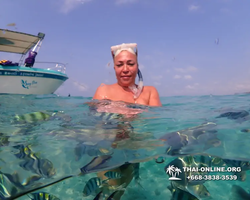 Underwater Odyssey snorkeling excursion Pattaya Thailand photo 11316
