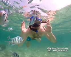 Underwater Odyssey snorkeling tour from Pattaya Thailand photo 18351