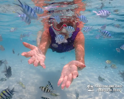 Underwater Odyssey snorkeling excursion in Pattaya Thailand photo 804