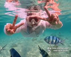 Underwater Odyssey snorkeling excursion Pattaya Thailand photo 14227