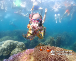 Underwater Odyssey snorkeling excursion Pattaya Thailand photo 11583