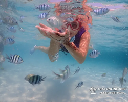 Underwater Odyssey snorkeling excursion in Pattaya Thailand photo 946