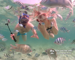 Underwater Odyssey snorkeling tour from Pattaya Thailand photo 18279