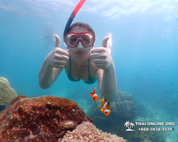 Underwater Odyssey snorkeling excursion in Pattaya Thailand photo 517