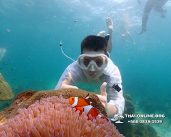 Underwater Odyssey snorkeling tour from Pattaya Thailand photo 18459