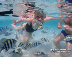 Underwater Odyssey snorkeling excursion in Pattaya Thailand photo 761