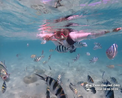 Underwater Odyssey snorkeling excursion in Pattaya Thailand photo 552