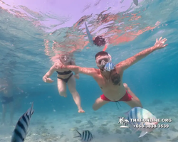 Underwater Odyssey snorkeling excursion Pattaya Thailand photo 11043