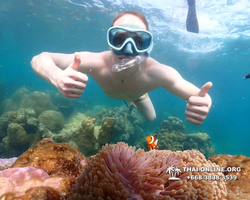 Underwater Odyssey snorkeling tour from Pattaya Thailand photo 14142