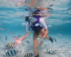 Underwater Odyssey snorkeling excursion in Pattaya Thailand photo 771