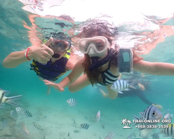 Underwater Odyssey snorkeling excursion in Pattaya Thailand photo 118