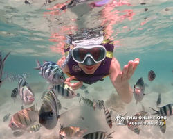 Underwater Odyssey snorkeling excursion Pattaya Thailand photo 19259