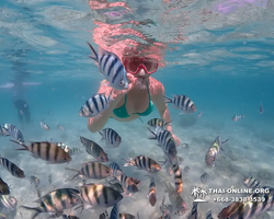 Underwater Odyssey snorkeling excursion in Pattaya Thailand photo 451