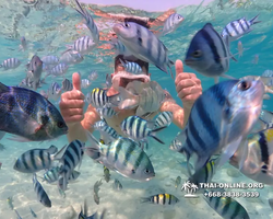 Underwater Odyssey snorkeling excursion Pattaya Thailand photo 11261