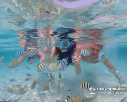 Underwater Odyssey snorkeling excursion in Pattaya Thailand photo 834