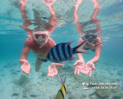 Underwater Odyssey snorkeling tour from Pattaya Thailand photo 14242