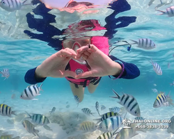 Underwater Odyssey snorkeling excursion in Pattaya Thailand photo 632