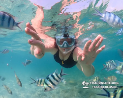Underwater Odyssey snorkeling excursion Pattaya Thailand photo 11183