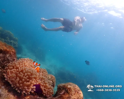 Underwater Odyssey snorkeling excursion in Pattaya Thailand photo 1001