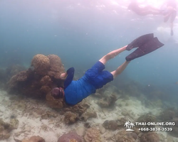 Underwater Odyssey snorkeling excursion in Pattaya Thailand photo 307