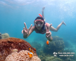 Underwater Odyssey snorkeling excursion in Pattaya Thailand photo 433